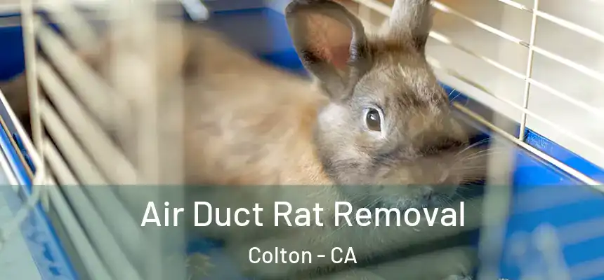  Air Duct Rat Removal Colton - CA