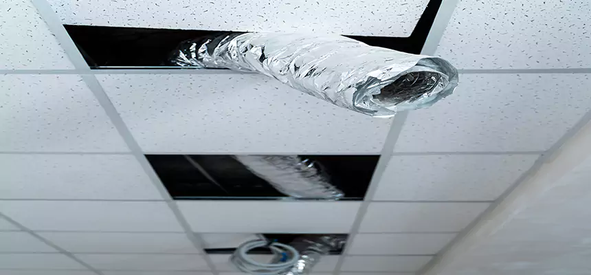 Our Air Duct Pet Hair Removal Services in Colton, CA