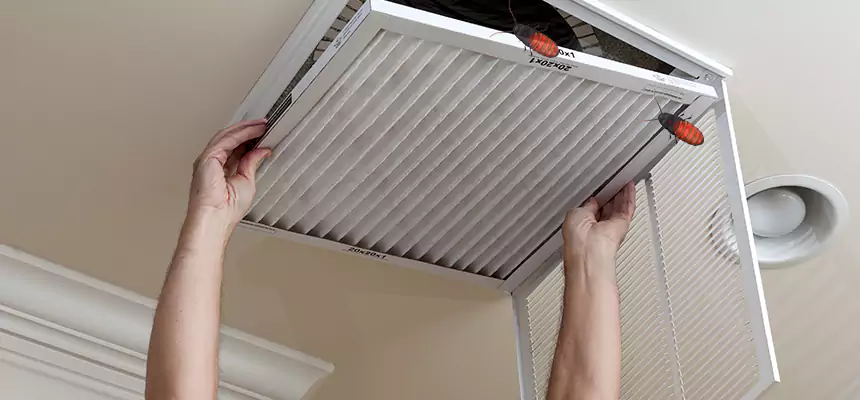Our Insect Removal from Air Ducts Services in Colton, CA