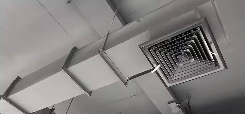 Our Rodent Droppings In Vents Services in Colton, CA