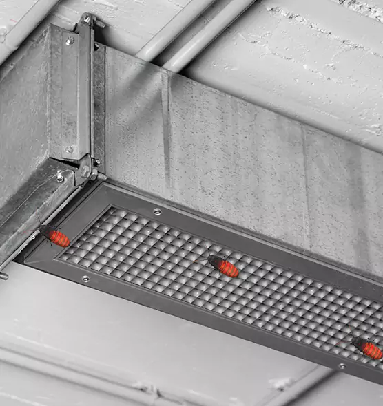 Affordable Insect Removal from Air Ducts in Colton, CA