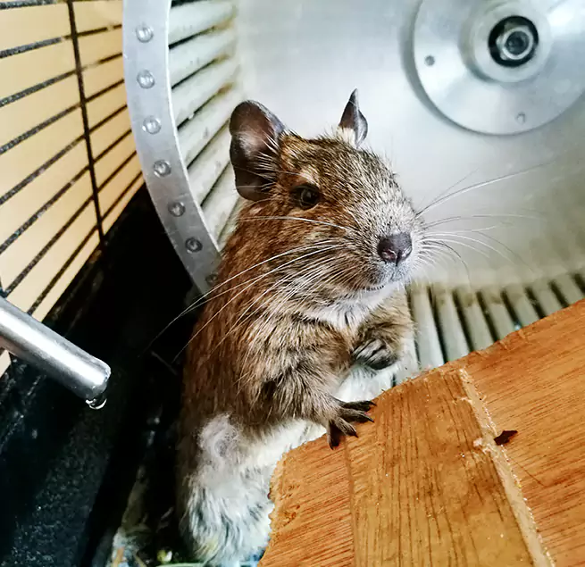 Why Homeowners & Businesses Trust Us Colton, CA